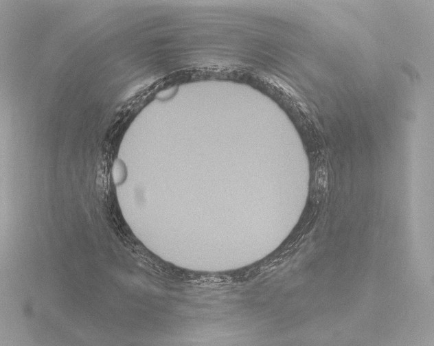 X0000115520869200912181504