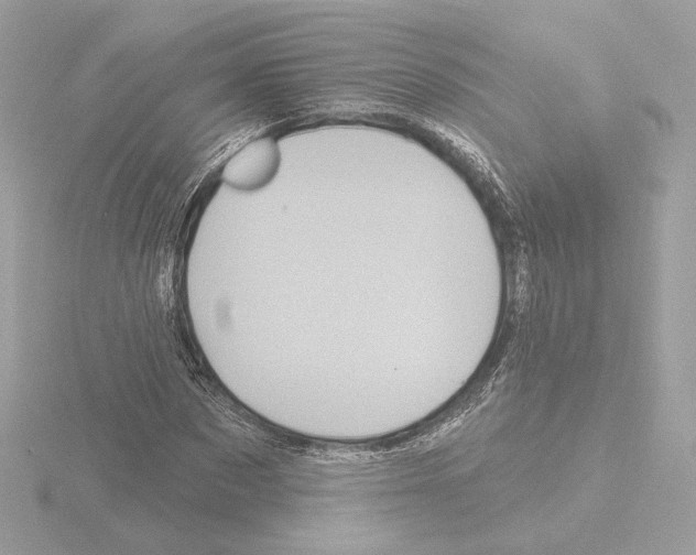 X0000115520873200912181504