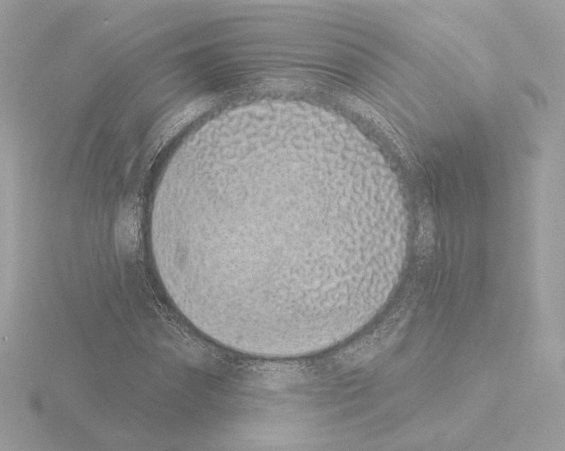 X0000115520874200912181504