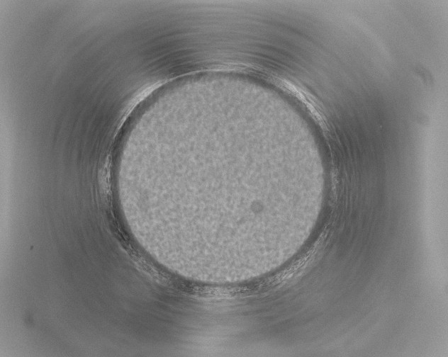 X0000115520875200912181504