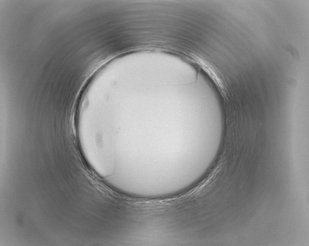 X0000115520876200912181504