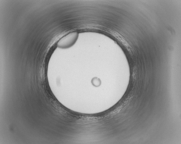 X0000115520877200912181504