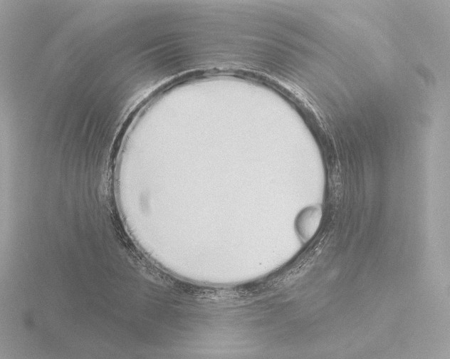 X0000115520879200912181504