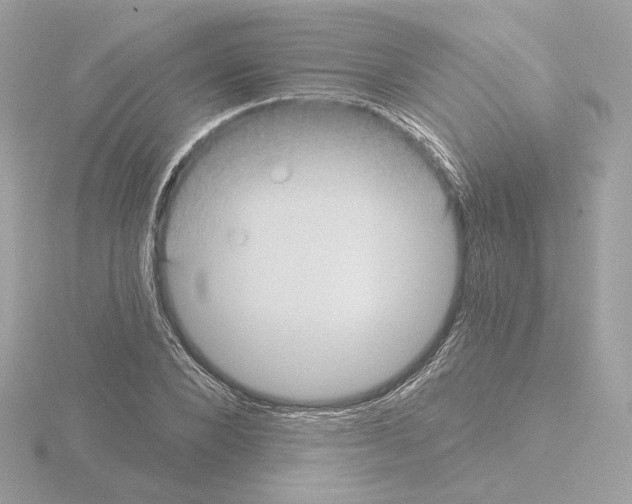 X0000115520880200912181504