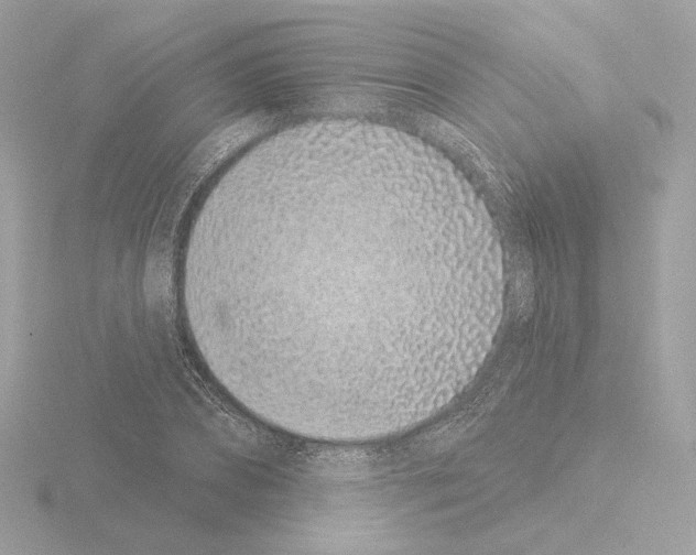 X0000115520882200912181504