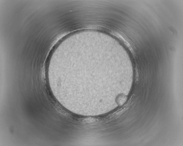 X0000115520883200912181504