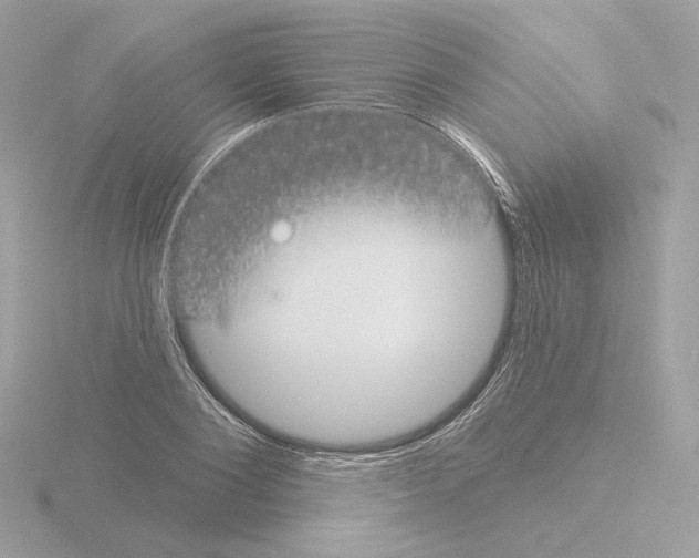 X0000115520884200912181504