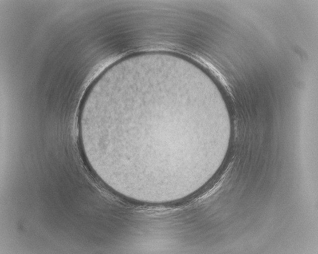 X0000115520885200912181504