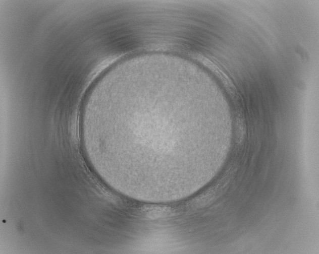 X0000115520886200912181504