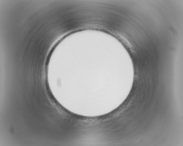 X0000115520888200912181504