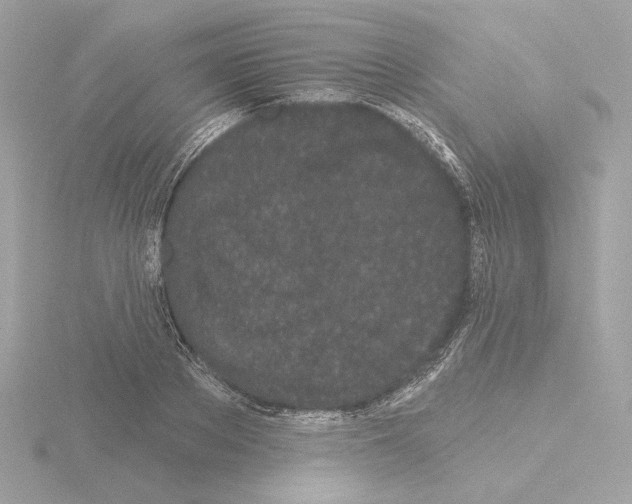 X0000115520889200912181504