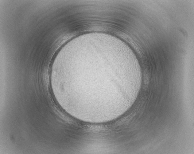 X0000115520890200912181504