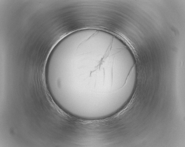 X0000115520892200912181504