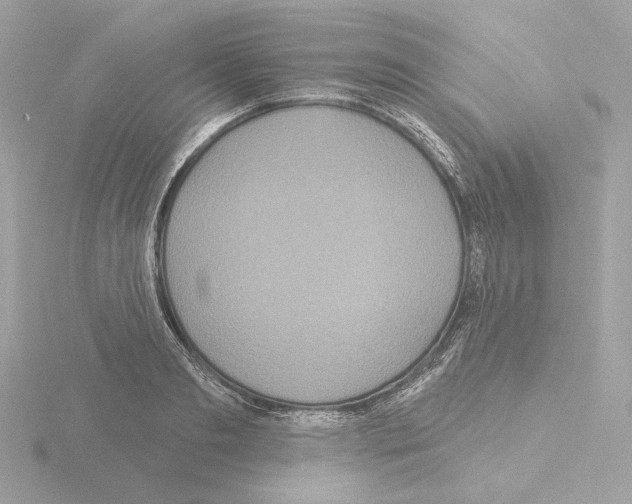 X0000115520893200912181504