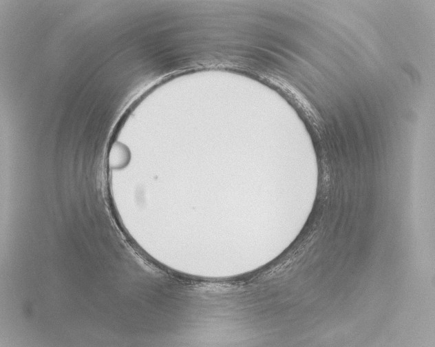 X0000115520894200912181504