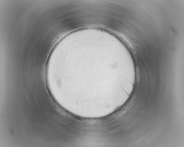 X0000115520895200912181504