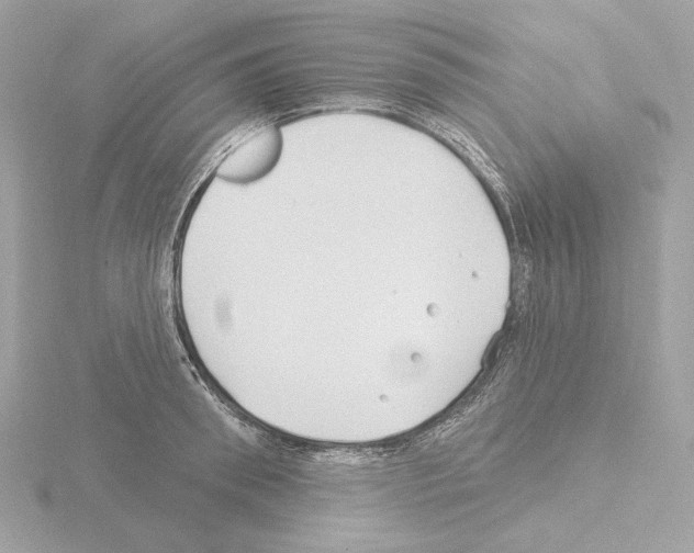 X0000115520898200912181504