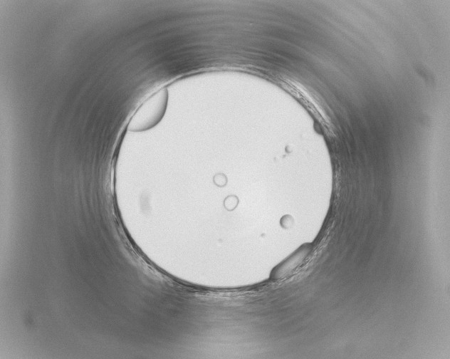 X0000115520900200912181504