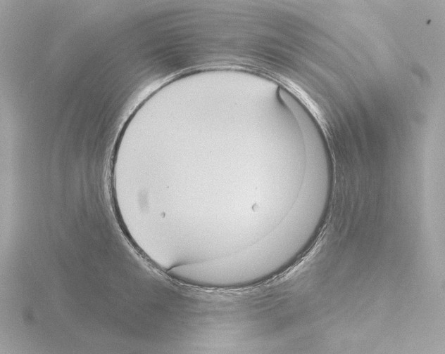 X0000115520901200912181504