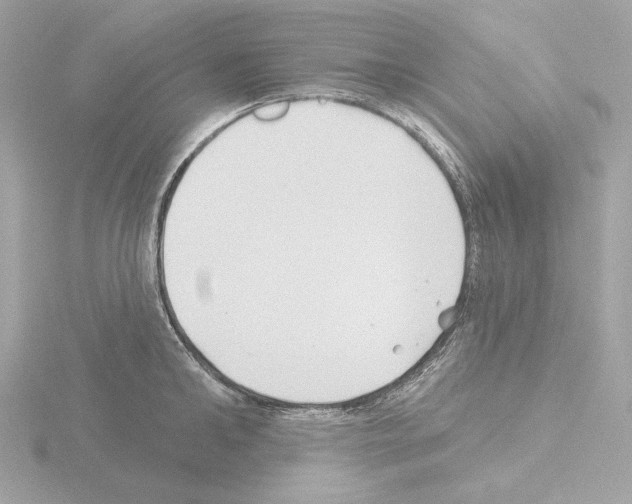 X0000115520902200912181504