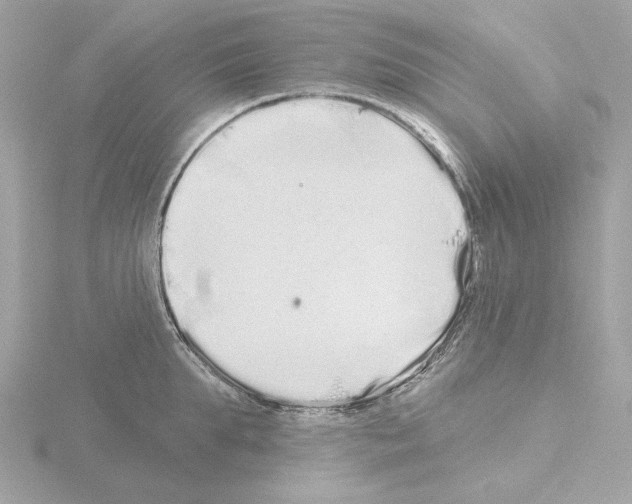 X0000115520903200912181504