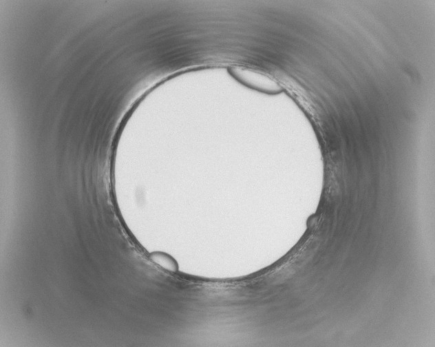 X0000115520904200912181504