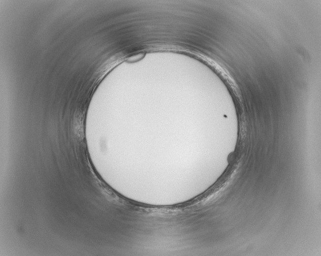 X0000115520905200912181504