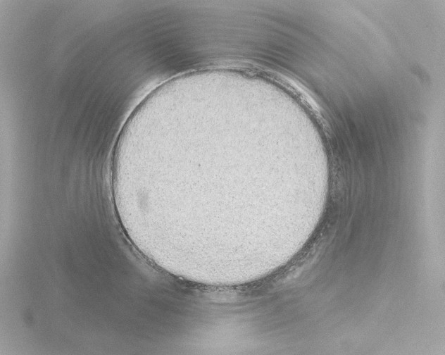 X0000115520907200912181504