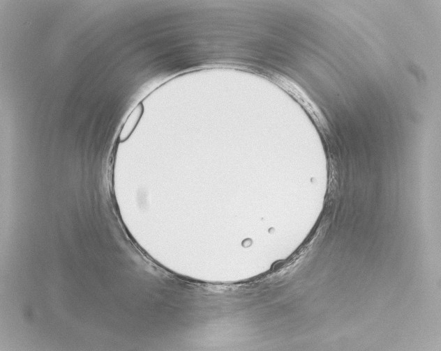 X0000115520908200912181504