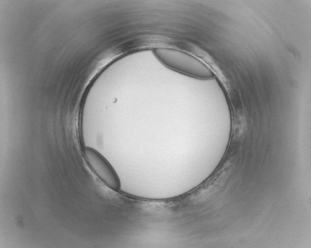 X0000115520909200912181504