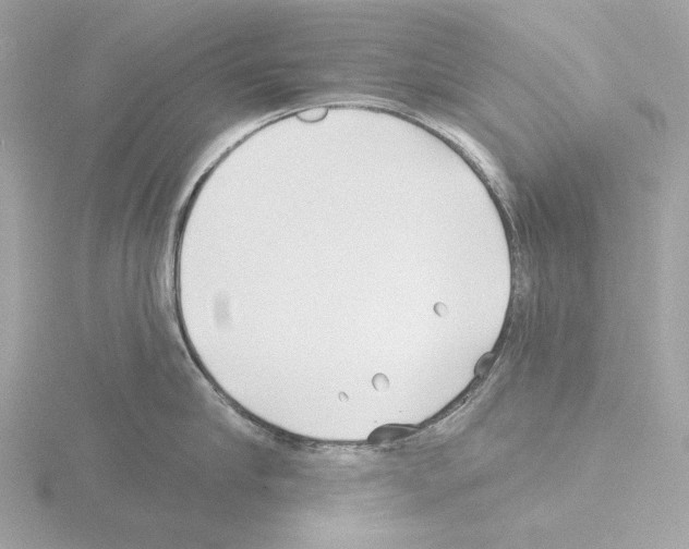 X0000115520910200912181504