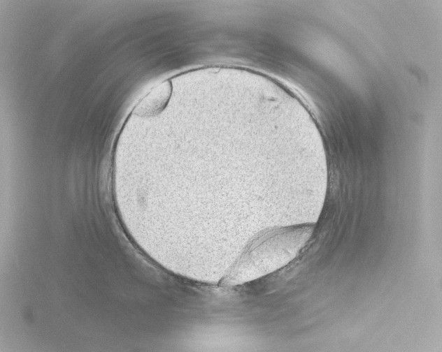 X0000115520911200912181504