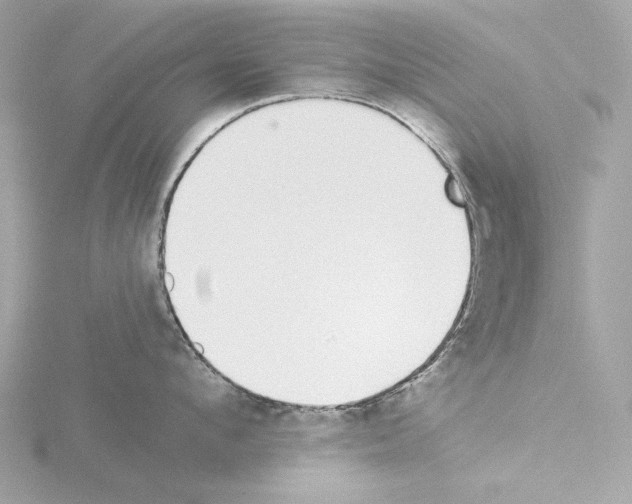 X0000115520912200912181504