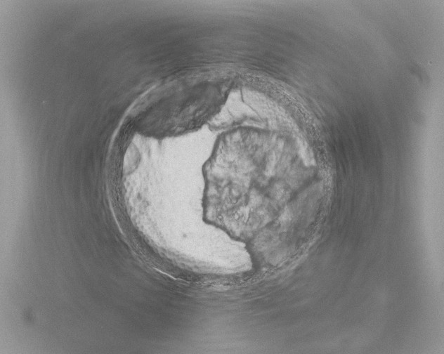 X0000115520913200912181503