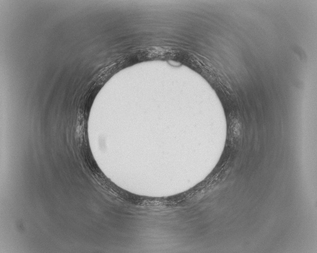 X0000115520914200912181503