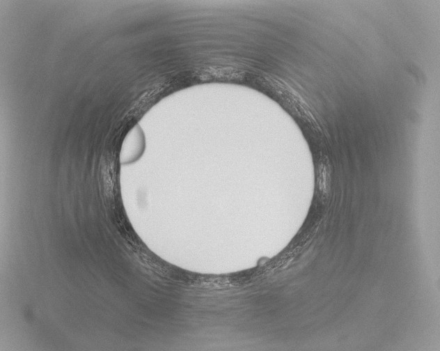 X0000115520915200912181503