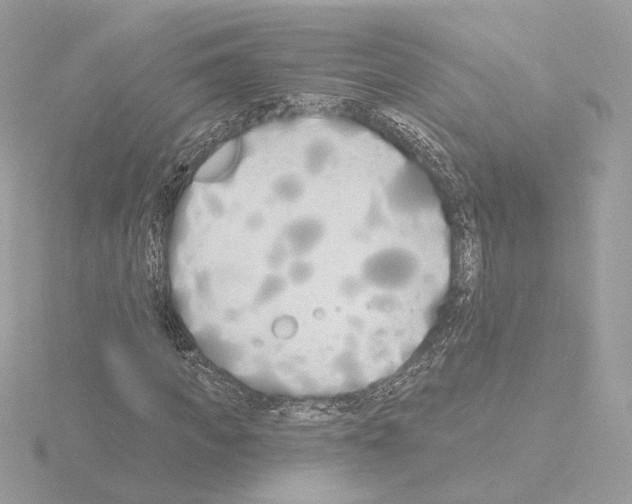 X0000115520917200912181503