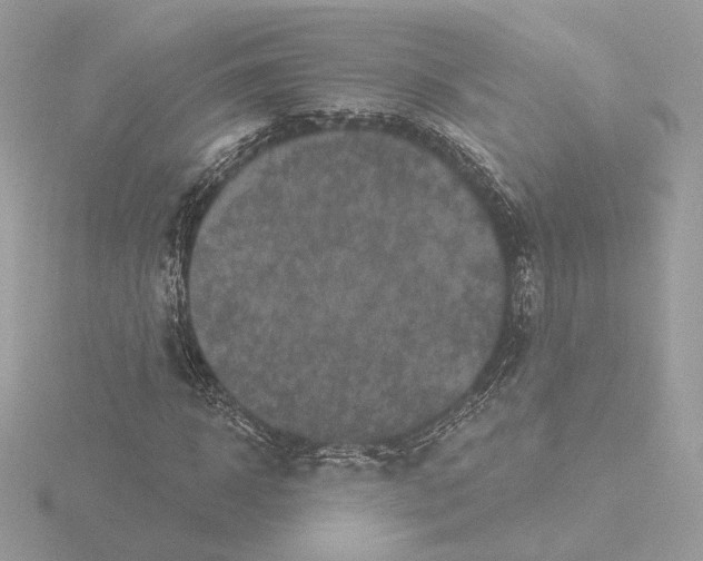 X0000115520918200912181503