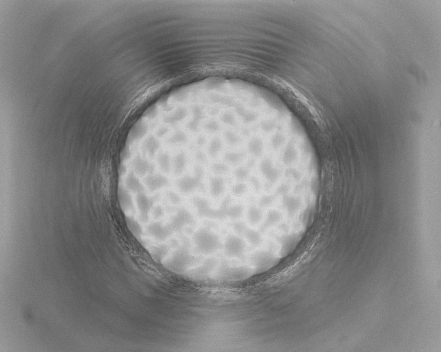 X0000115520921200912181503