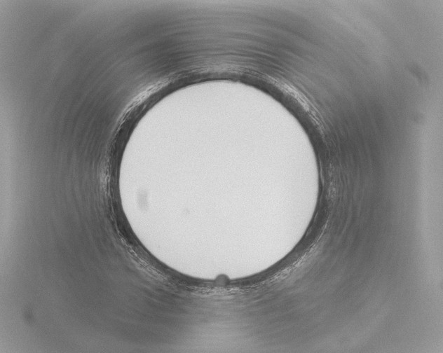 X0000115520922200912181503