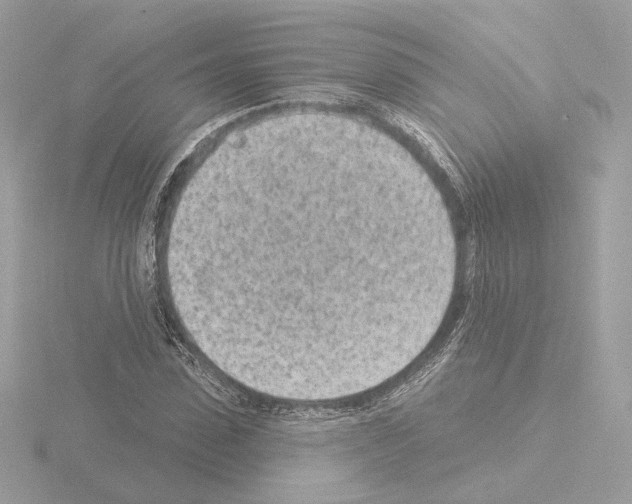 X0000115520923200912181503