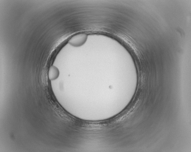 X0000115520925200912181503