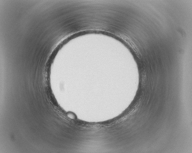 X0000115520926200912181503