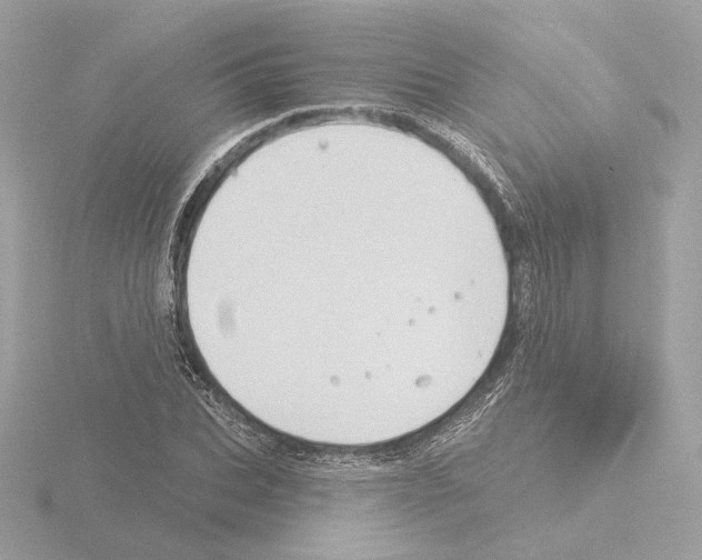 X0000115520927200912181503