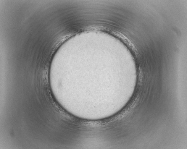 X0000115520937200912181503