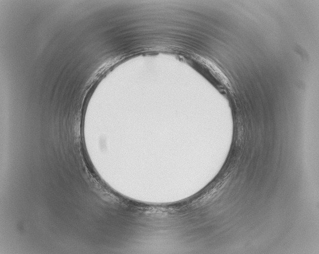 X0000115520938200912181503