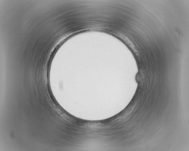 X0000115520939200912181503