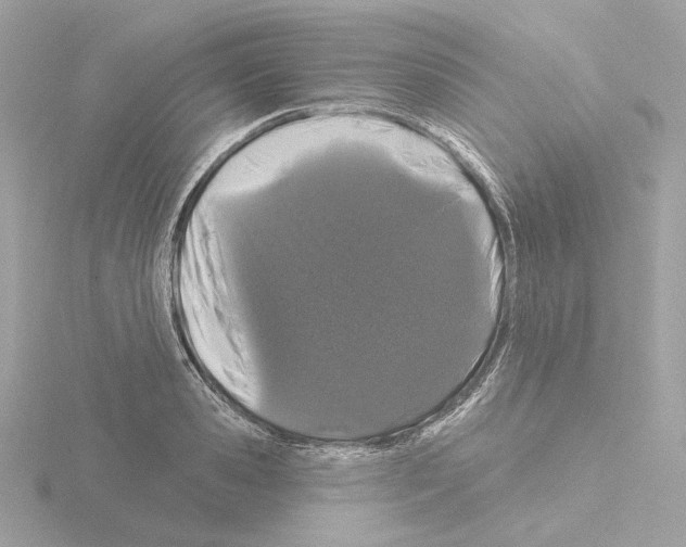 X0000115520941200912181503