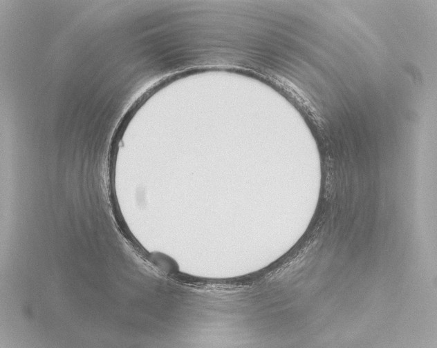 X0000115520942200912181503