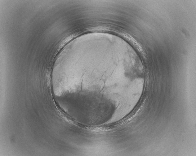 X0000115520945200912181503